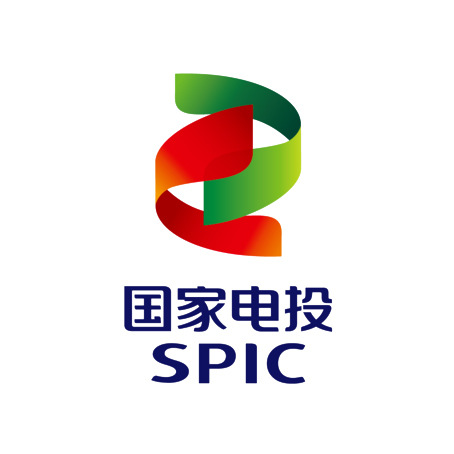 國(guó)家電投